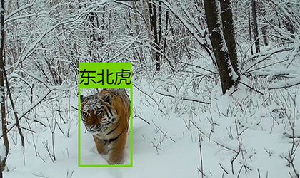 专属定制模型研发